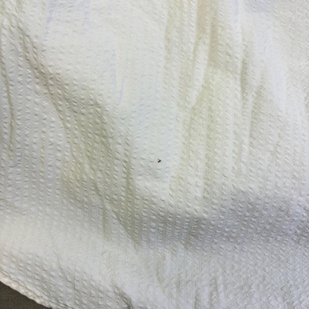 Linen Polo - Picture 5 of 7